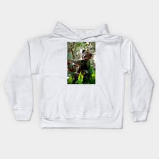 Is This The Pose You Wanted? Kids Hoodie